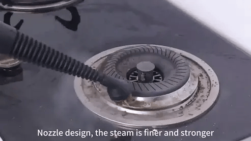 DF - Steam Cleaner (DF-A001)