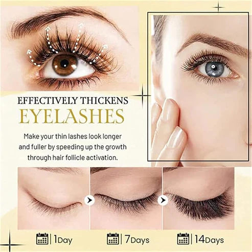 Eelhoe - Lash & Brow Intense Serum (Original) 15.00 AED